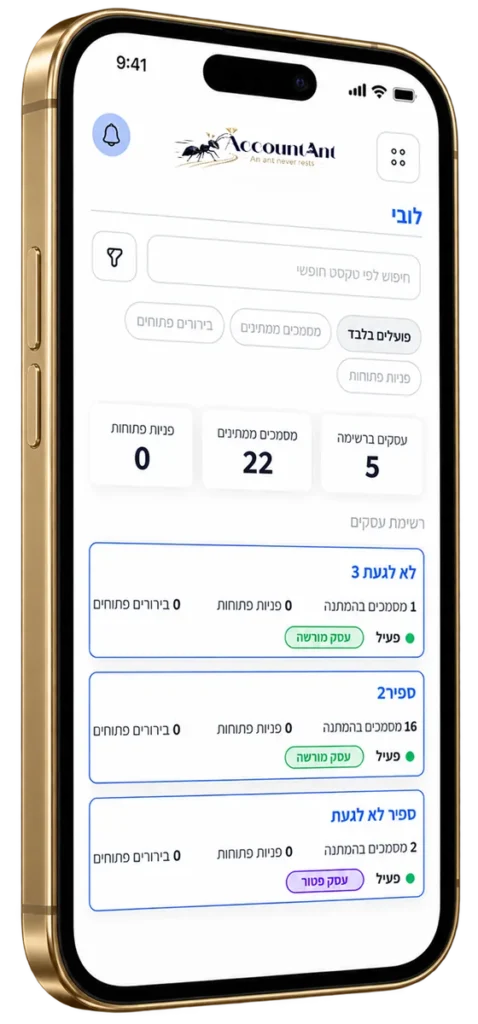 מסך מתוך תוכנת אקאונט-אנט