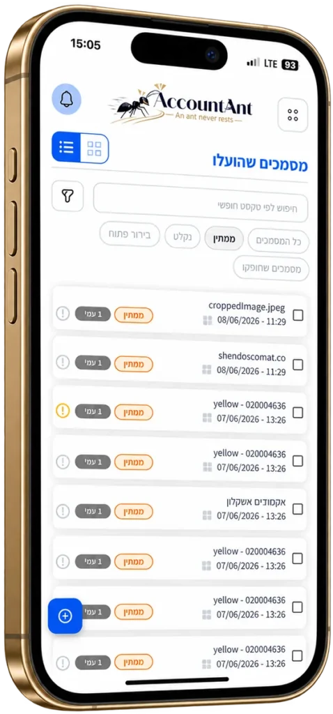 מסך מתוך תוכנת אקאונט-אנט