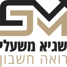 לוגו שגיא משעלי רואה חשבון